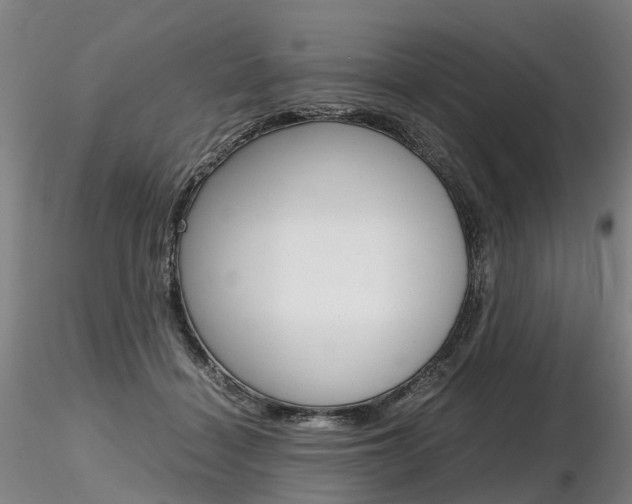 X0000116800460200912181121