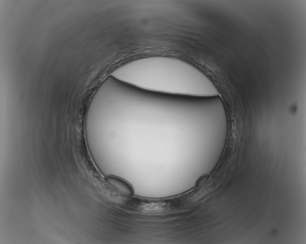 X0000116800461200912181121