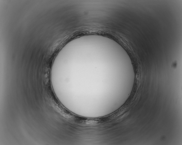 X0000116800462200912181121