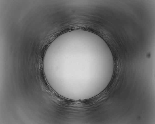 X0000116800463200912181121