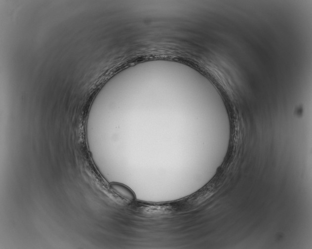 X0000116800465200912181121