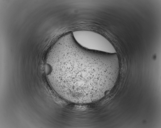 X0000116800469200912181121