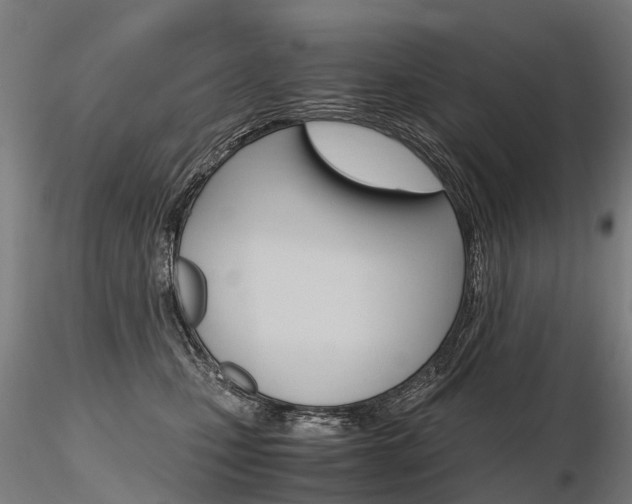 X0000116800471200912181121