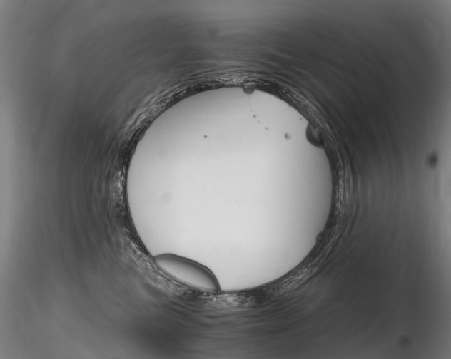 X0000116800473200912181121