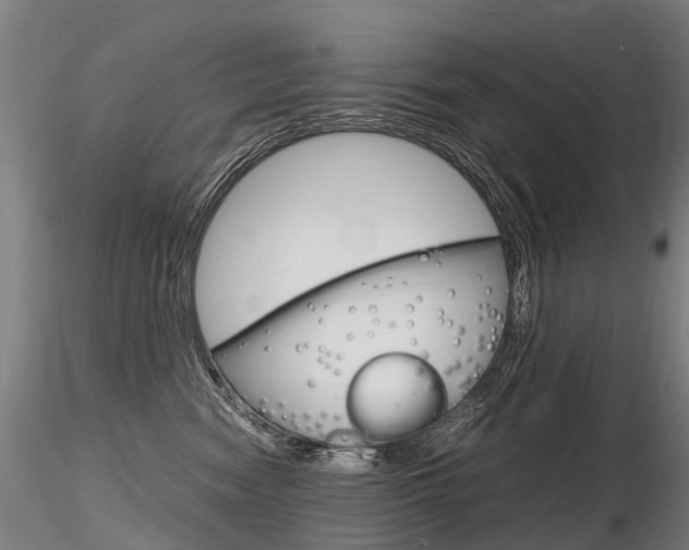 X0000116800474200912181121