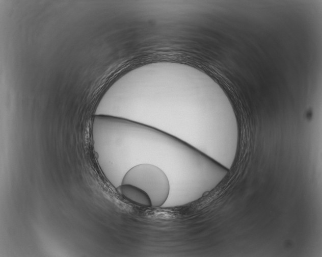 X0000116800475200912181122