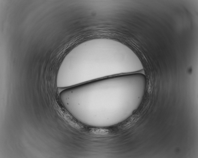 X0000116800476200912181122