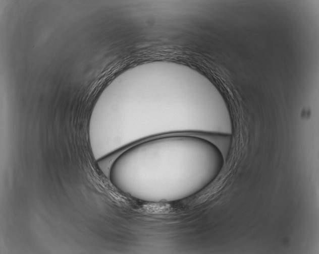 X0000116800480200912181122