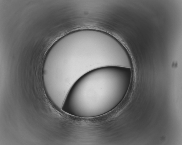 X0000116800481200912181121