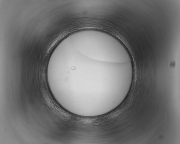 X0000116800482200912181121