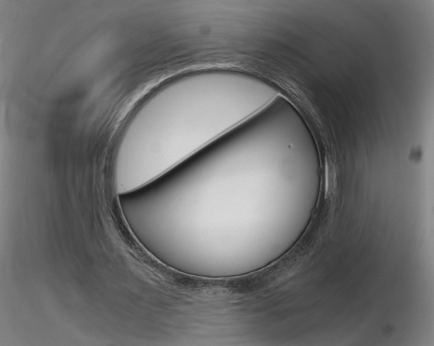 X0000116800483200912181121