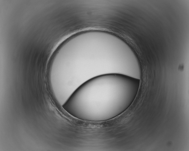 X0000116800484200912181121
