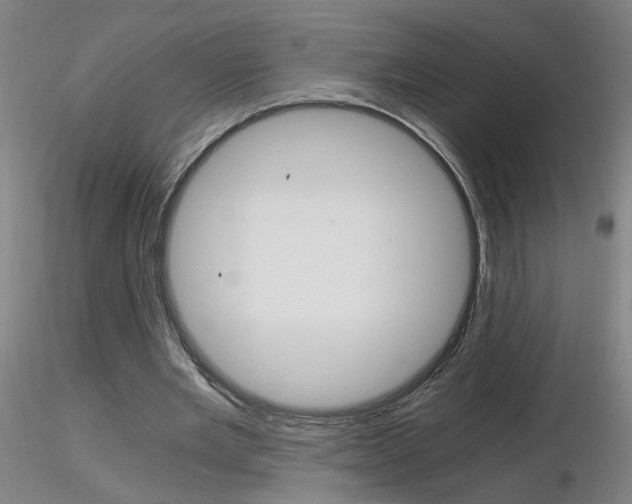 X0000116800485200912181121