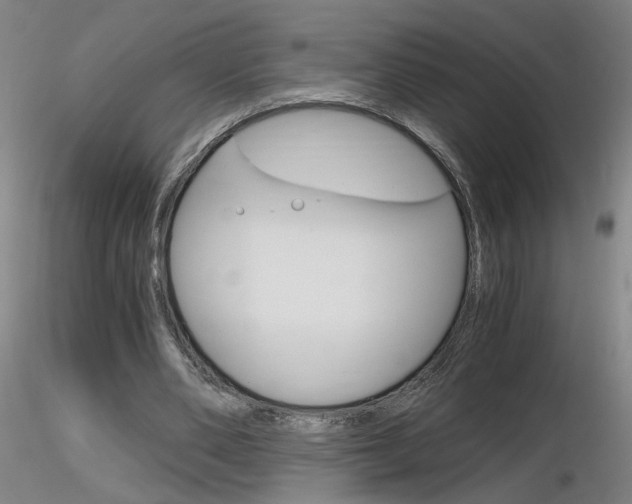 X0000116800486200912181121