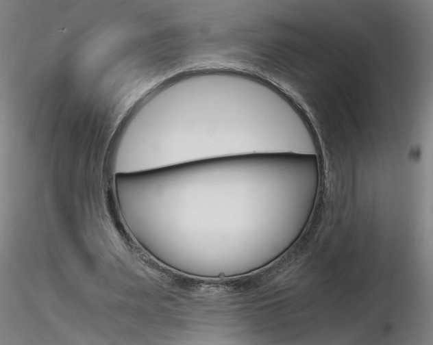 X0000116800487200912181121