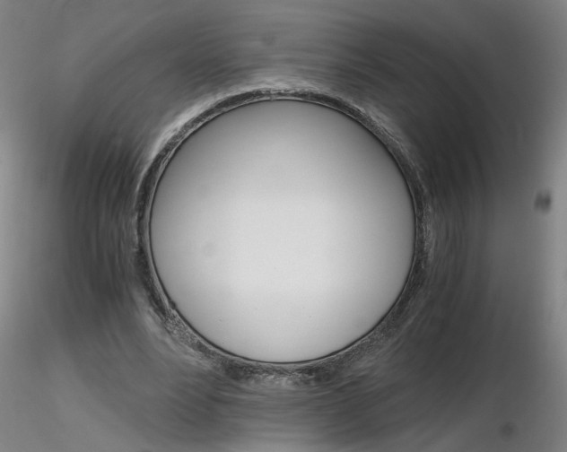 X0000116800488200912181121