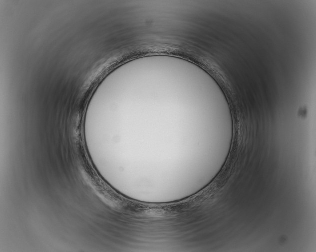 X0000116800490200912181121