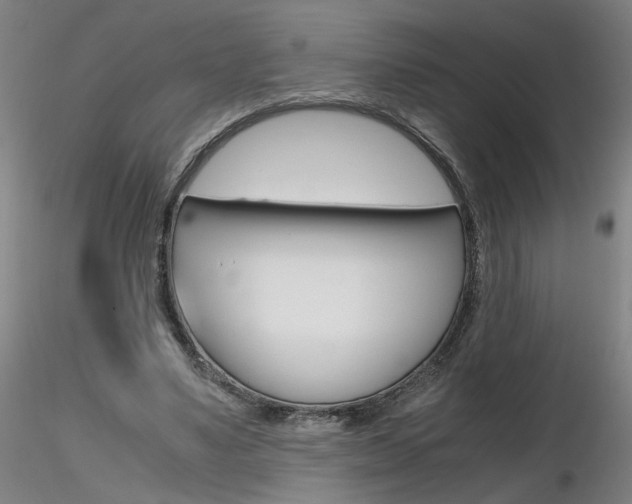 X0000116800491200912181121