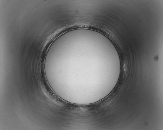 X0000116800492200912181121