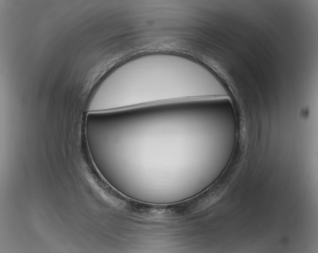 X0000116800493200912181121