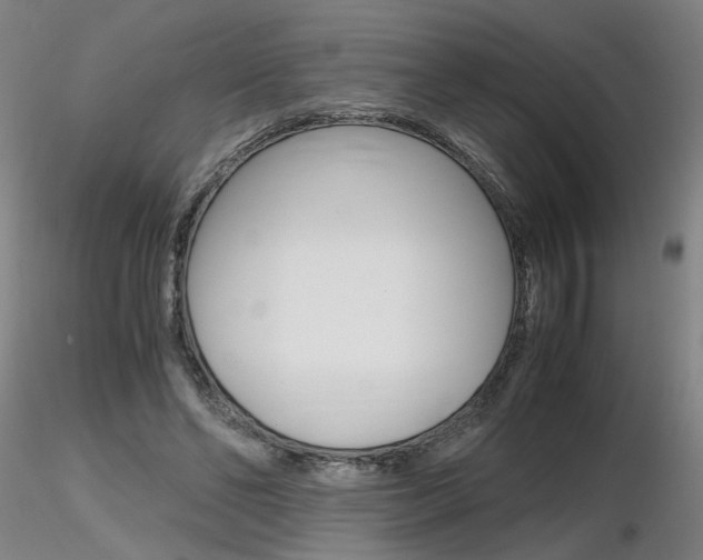X0000116800494200912181121