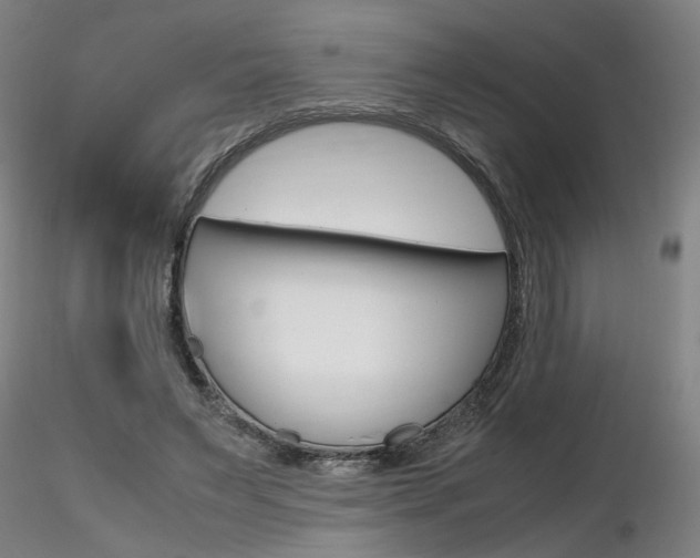 X0000116800495200912181121