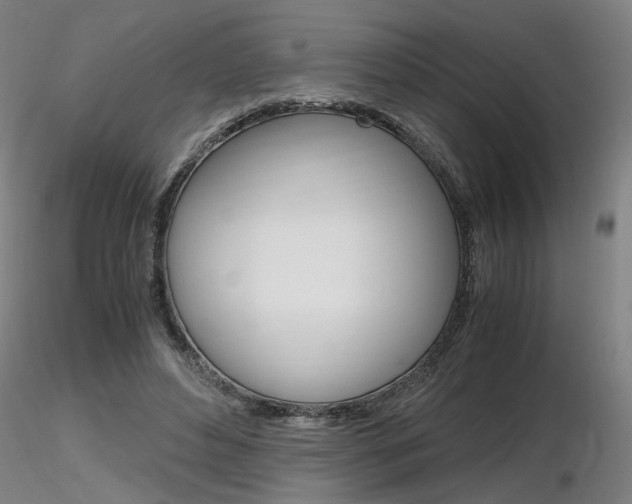 X0000116800496200912181121