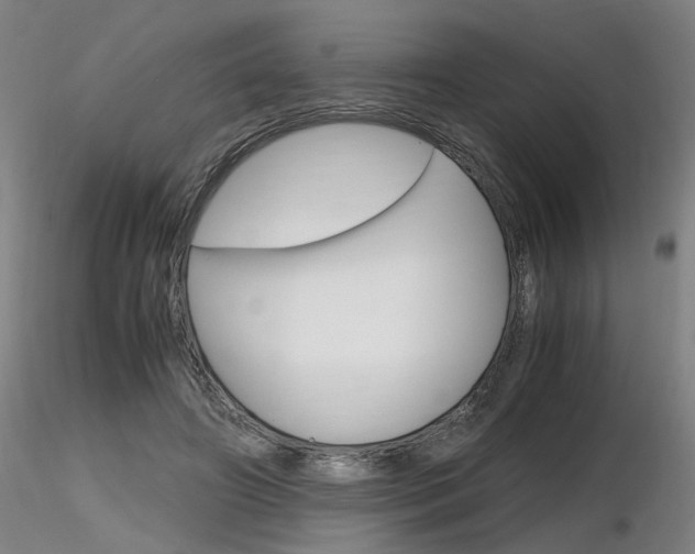 X0000116800498200912181121