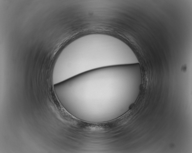 X0000116800500200912181121