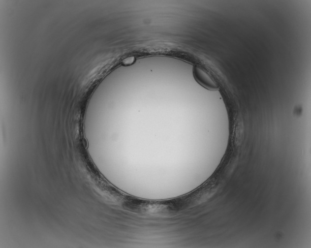 X0000116800501200912181121