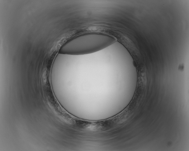 X0000116800504200912181121