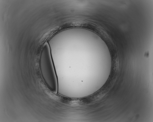 X0000116800505200912181121