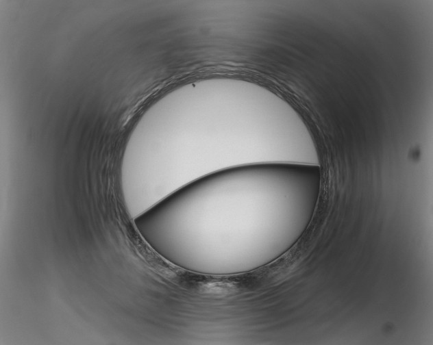 X0000116800508200912181121