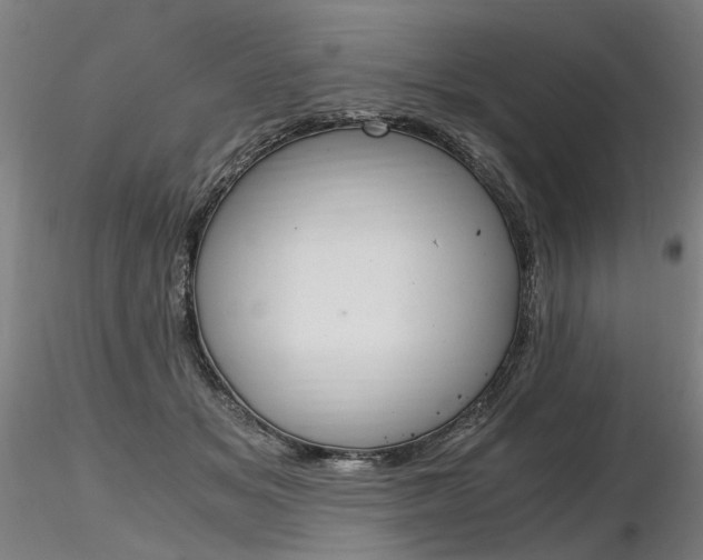 X0000116800509200912181121