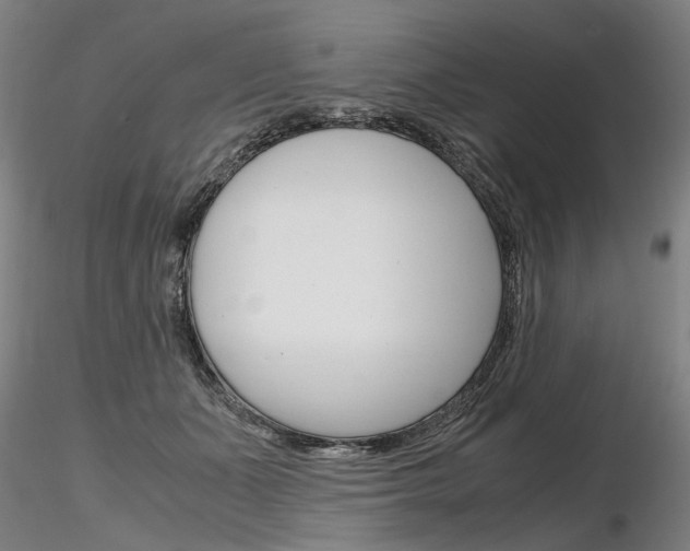 X0000116800511200912181121