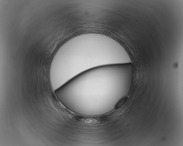 X0000116800512200912181120
