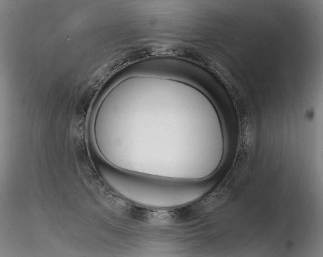X0000116800513200912181120