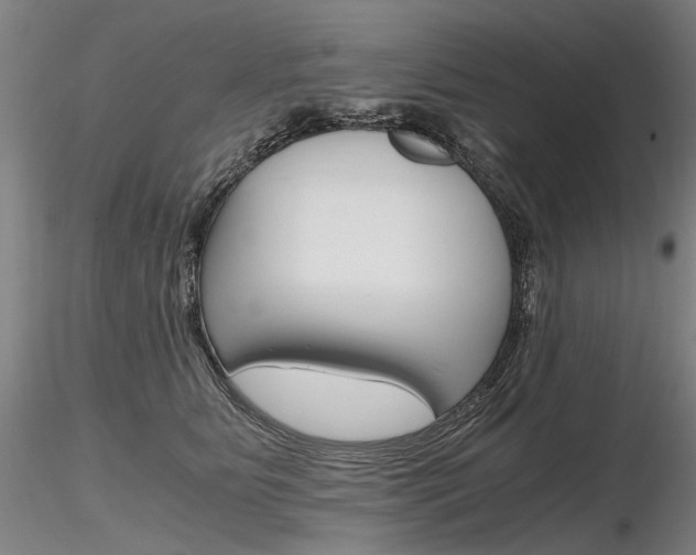 X0000116800515200912181120