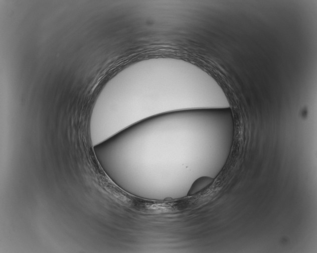 X0000116800516200912181120