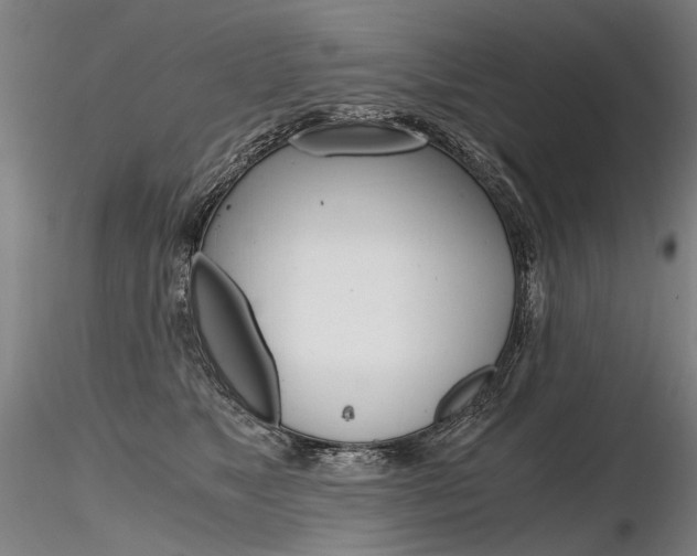 X0000116800517200912181120