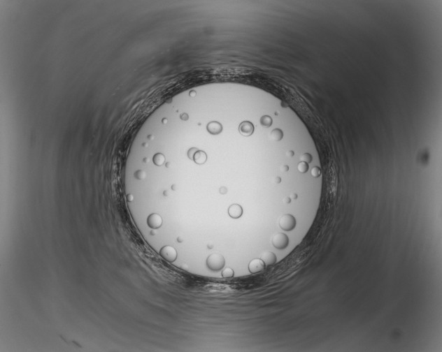 X0000116800519200912181120