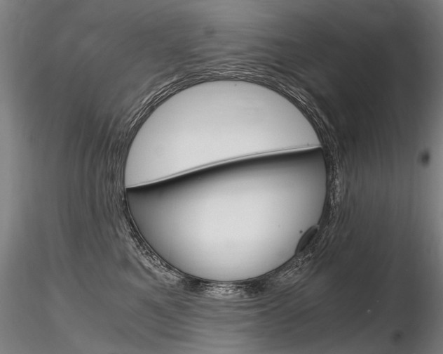 X0000116800521200912181120