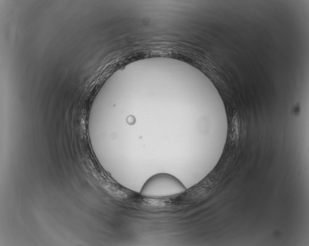 X0000116800522200912181120