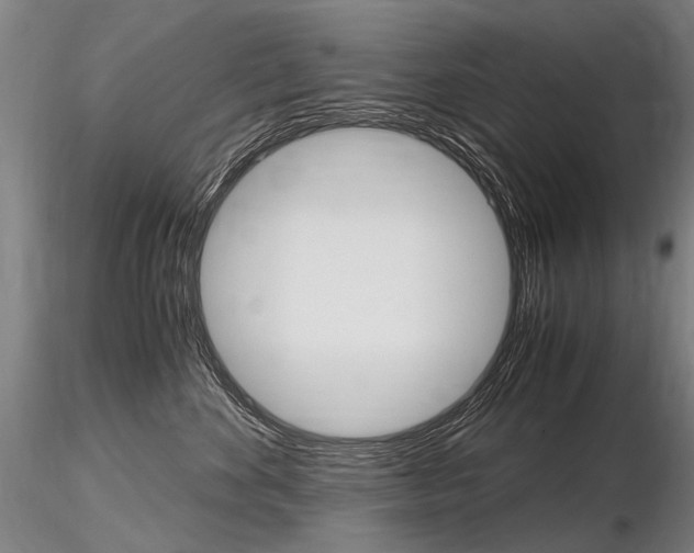 X0000116800524200912181120