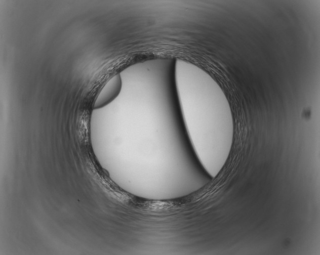 X0000116800527200912181120