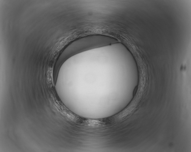 X0000116800528200912181120