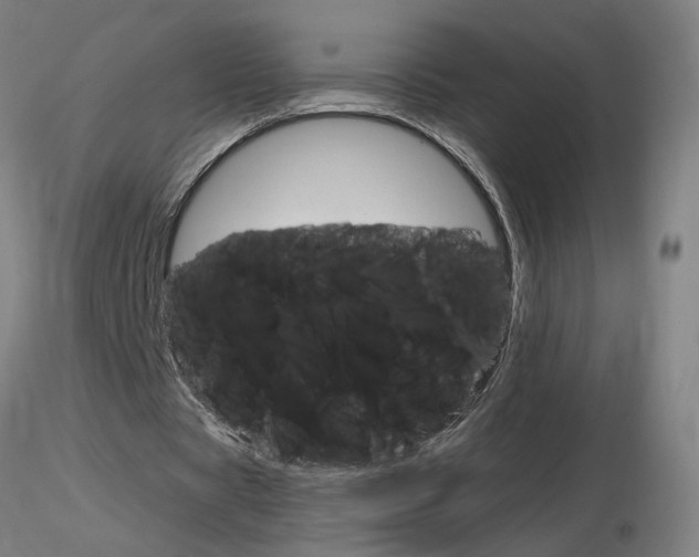 X0000116800529200912181120