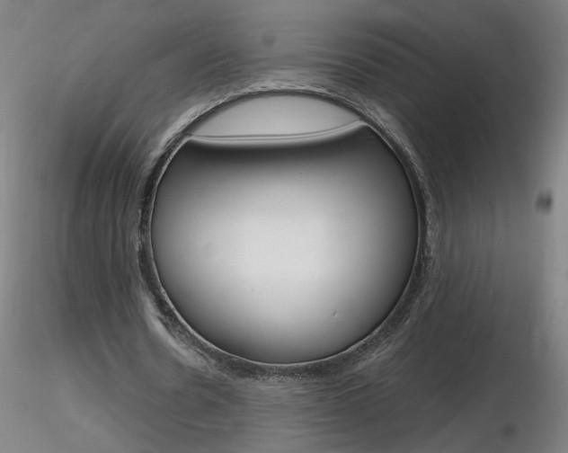 X0000116800530200912181120