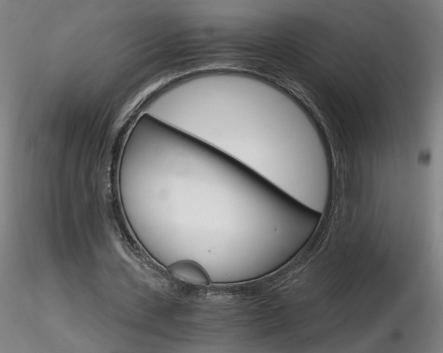 X0000116800531200912181120