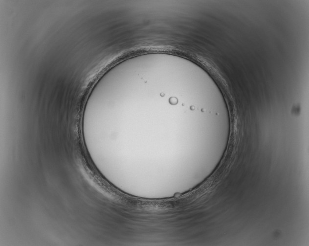 X0000116800533200912181120